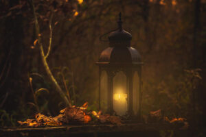 A dimply lit lantern in a dark forest surrounded by autumn leaves